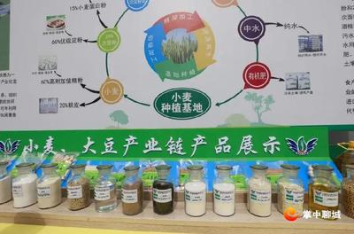 提振信心士氣 奮力比拼趕超--聊城全市重點項目上半年現場觀摩會議第二日見聞