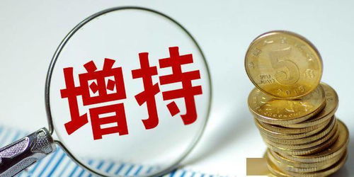 實業投資新路徑：新華都系舉牌森特股份背后探析